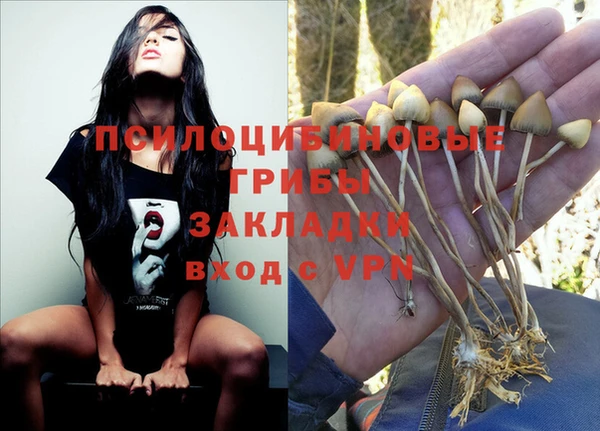 дмт Аркадак