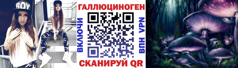 наркота  Хвалынск  Галлюциногенные грибы Psilocybe 